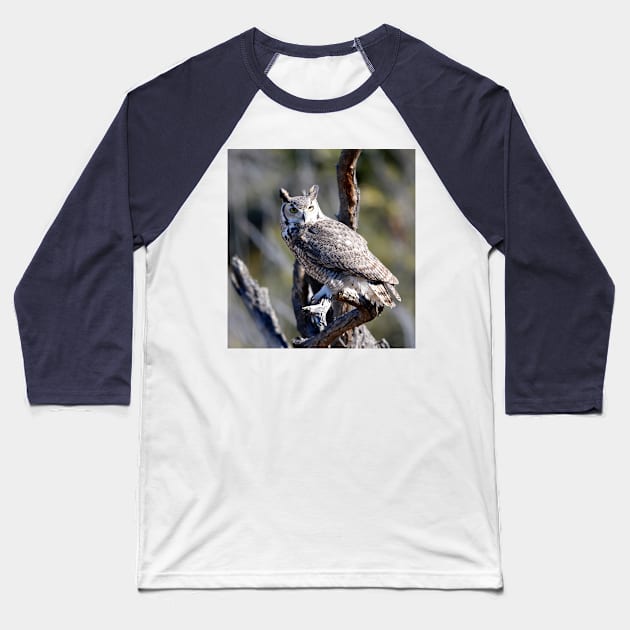 Great Horned Owl Baseball T-Shirt by DeniseBruchmanPhotography